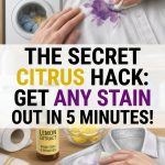 The secret citrus hack showing how to remove stains from clothes fast using natural ingredients
